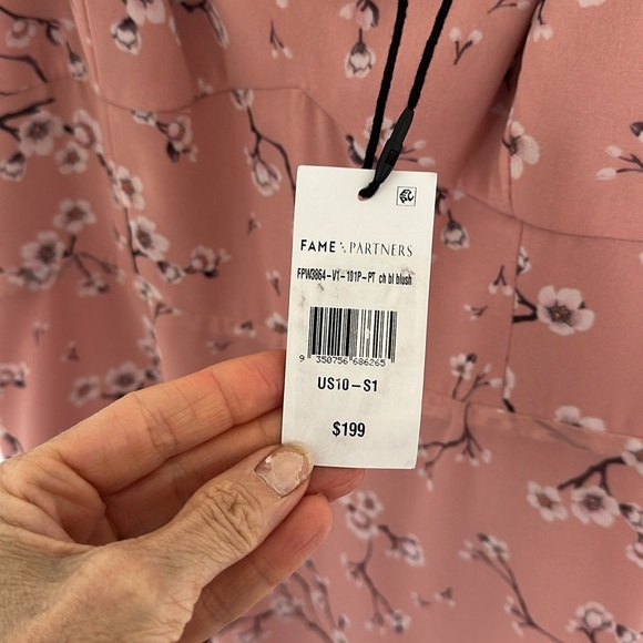 NWT Fame & Partners Cherry Bloom Dress | Size 10 | Coquette Vibes - Picture 5 of 10